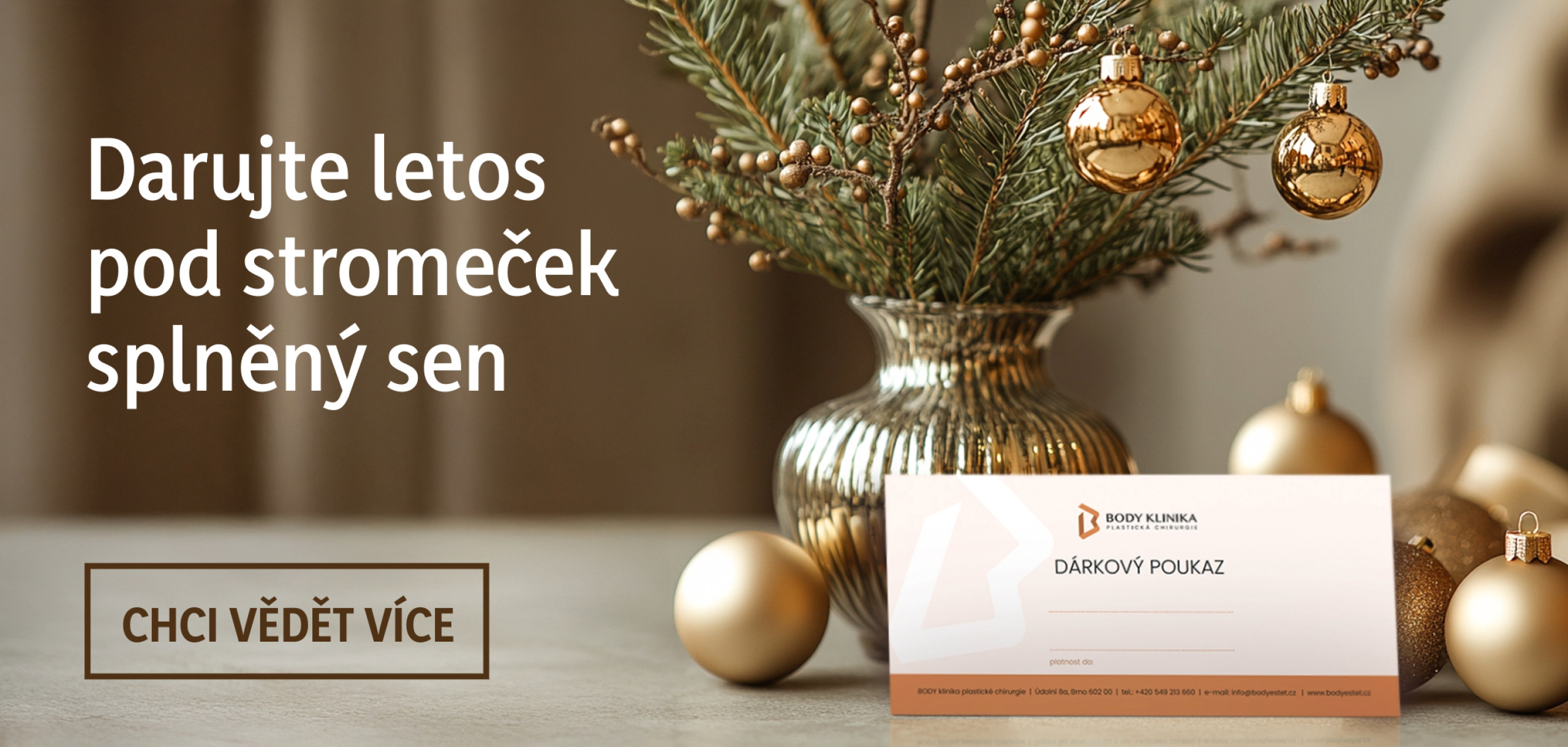 Banner: Body klinika